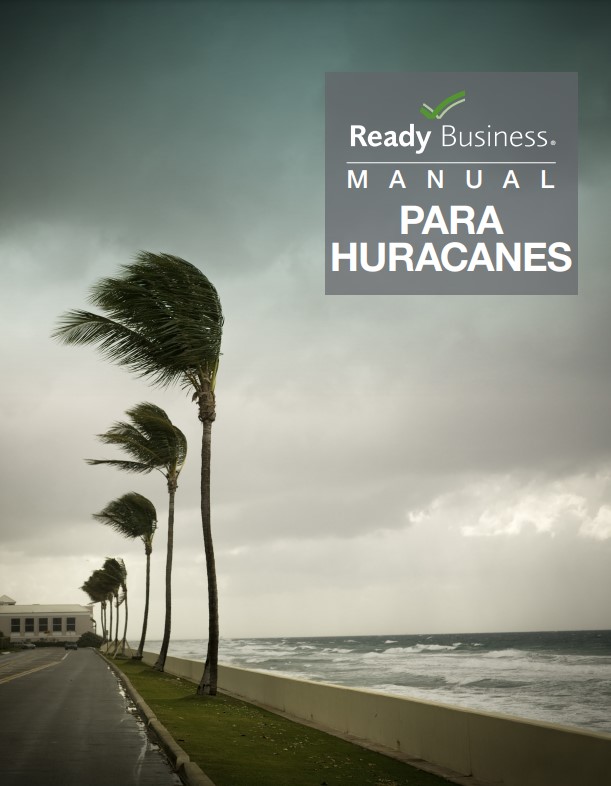 Foto del cover del manual con palmas doblándose por los vientos de la tempestad