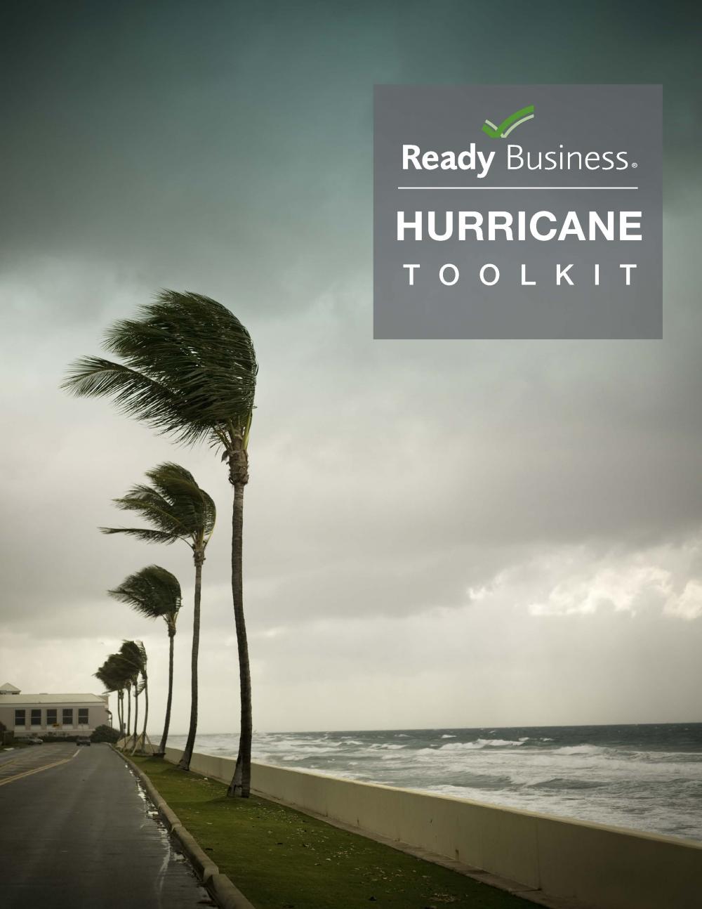 picture of front page of Hurricane Ready toolkit manual with palm tree bending for the wind on a beach