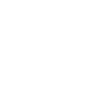 icon form