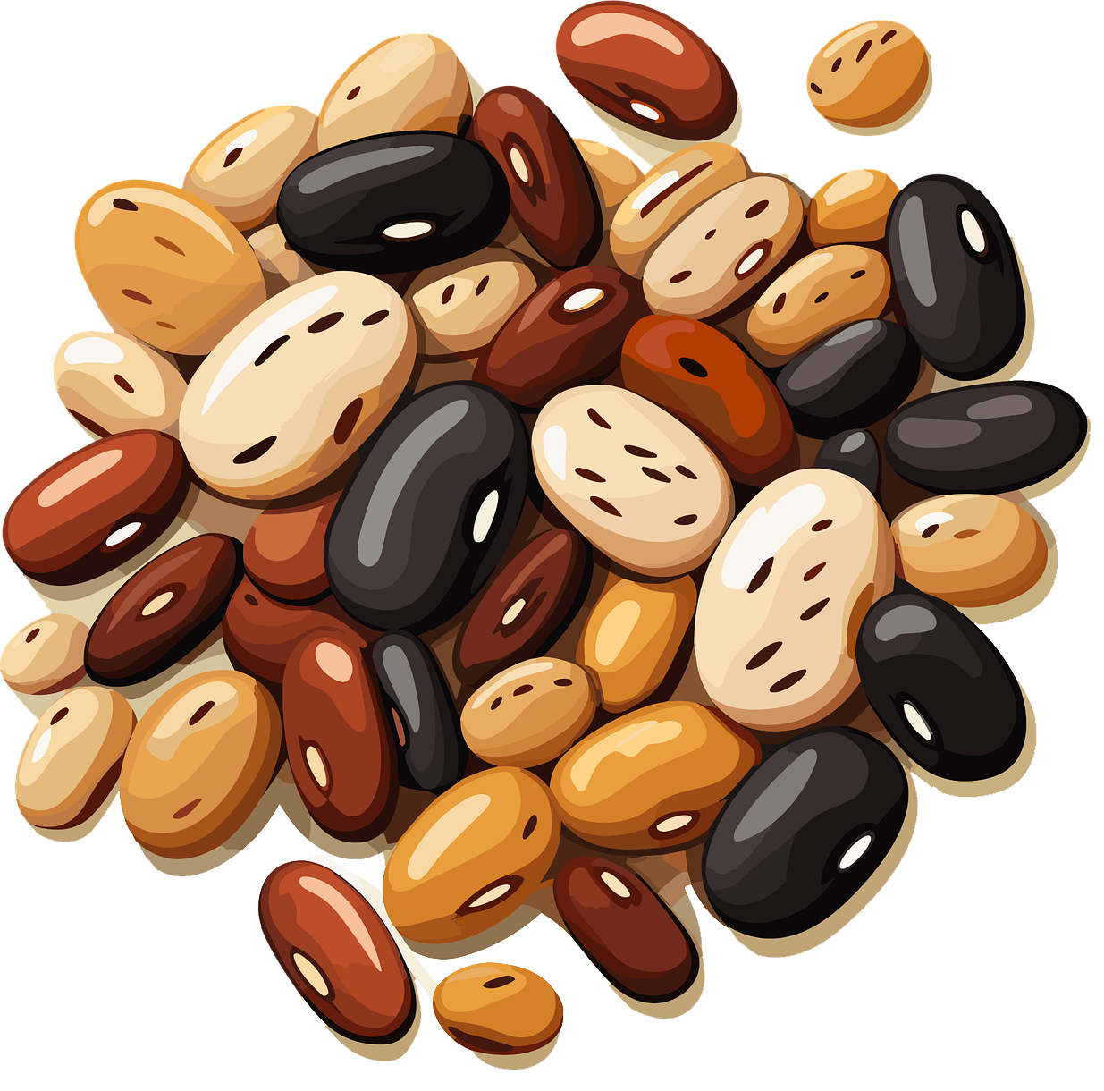 a group of a variety of beans from different beans
