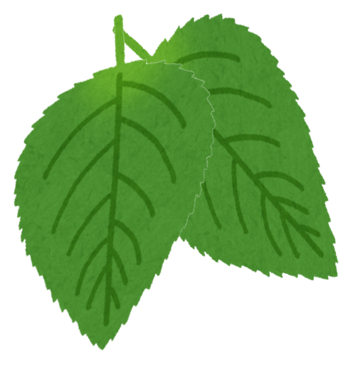 two green leaves
