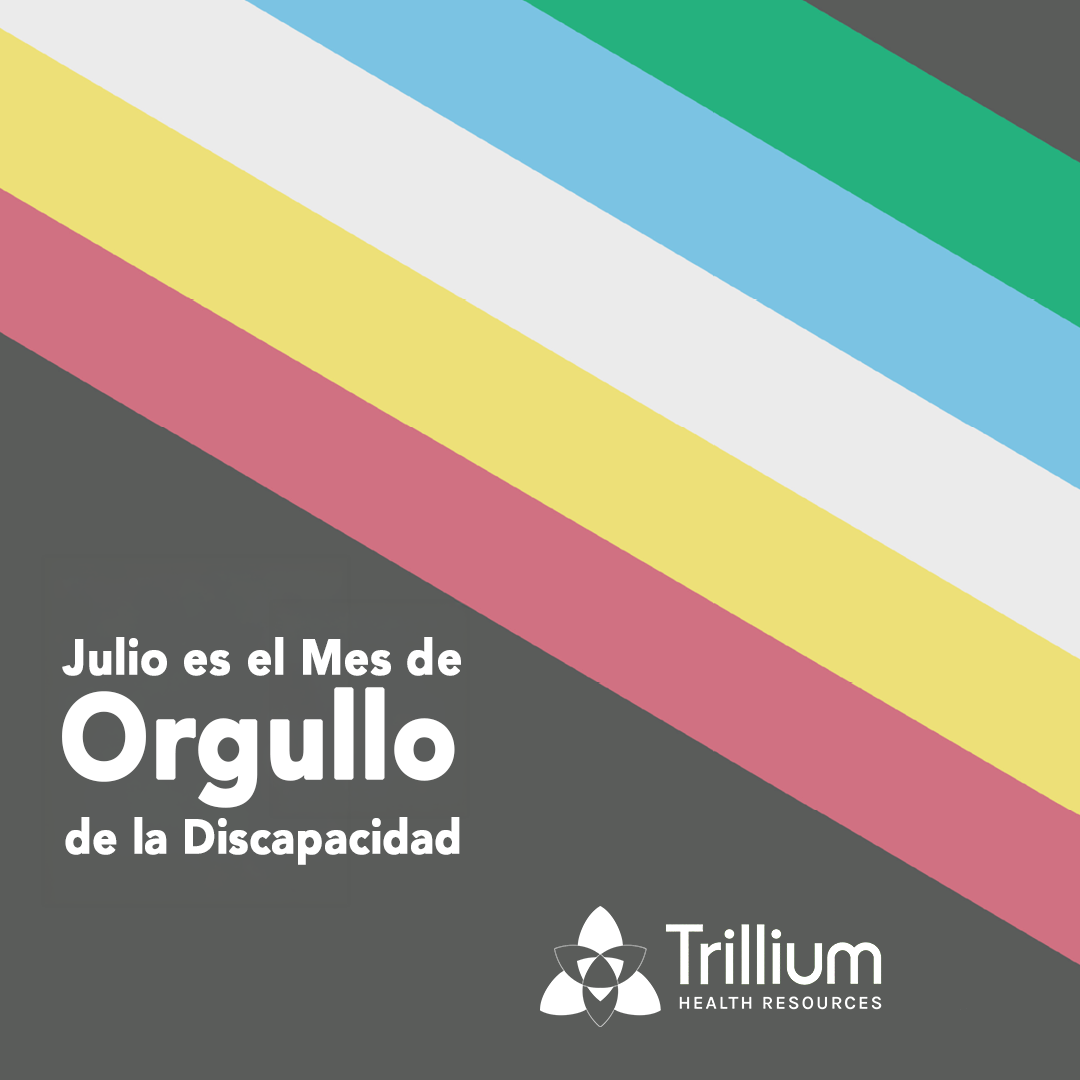 multicolor flag promoting the Disability Pride Month